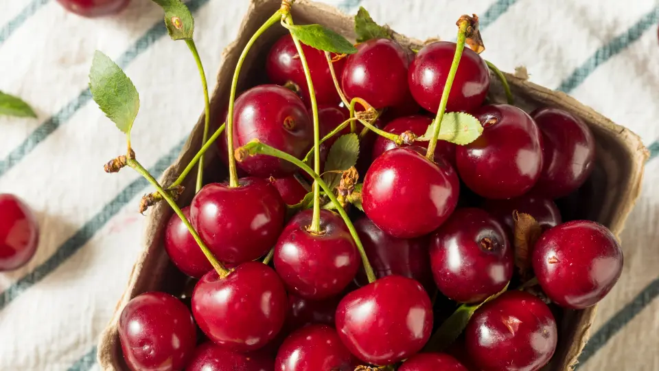 A box of juicy tart cherries sitting on a table, surrounded by vibrant green leaves. A delicious summer treat!